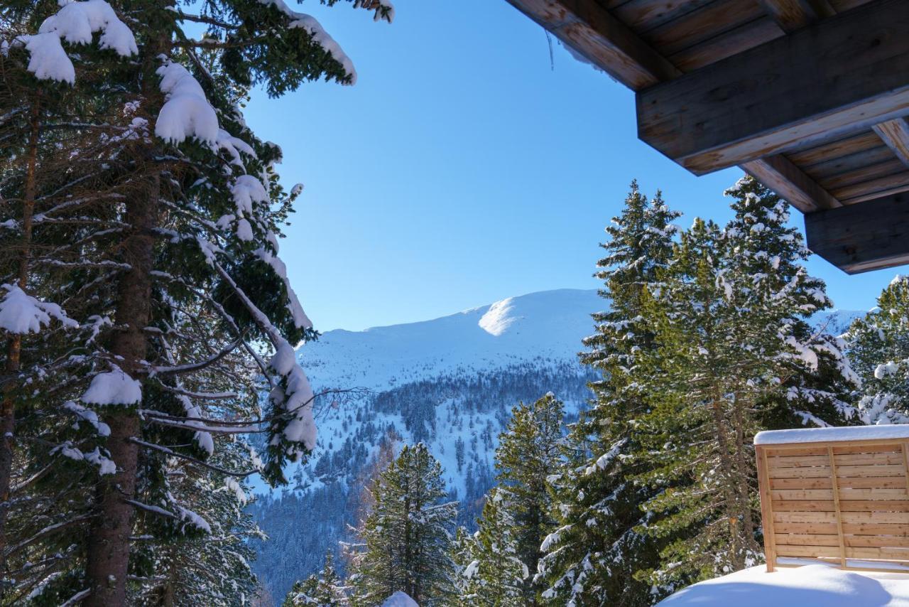 Luxalps- Turrach Alm Chalets Nr 1-4 Gruensee- Sauna- Skifahren- Wandern- Natur Turracher Hohe Exteriör bild